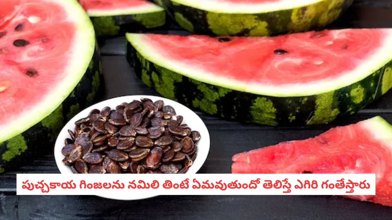 Watermelon Seeds: పండుతోపాటు గింజలను కూడా తినేస్తున్నారా?.. ఆ బెనిఫిట్స్ అన్నీ మీకే..