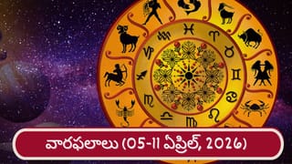 ఈ మొక్క అంటే పాములకు గజగజ.. ఇంటి దగ్గర ఉంటే అటువైపు రావడానికే భయపడతాయి..