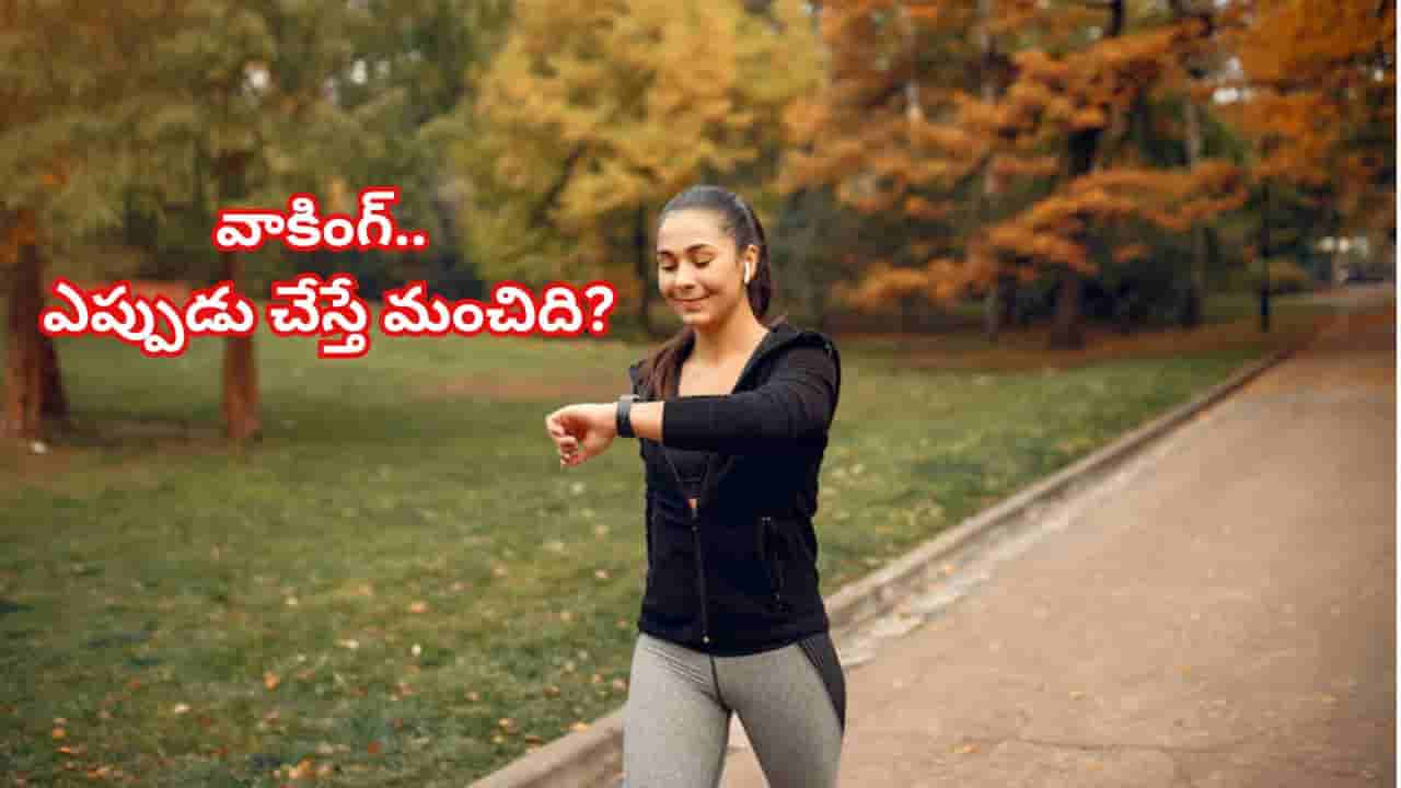 వాకింగ్.. ఎప్పుడు చేస్తే మంచిది? మార్నింగ్ వాక్ vs ఈవెనింగ్ వాక్ మధ్య తేడాలు ఇవే!