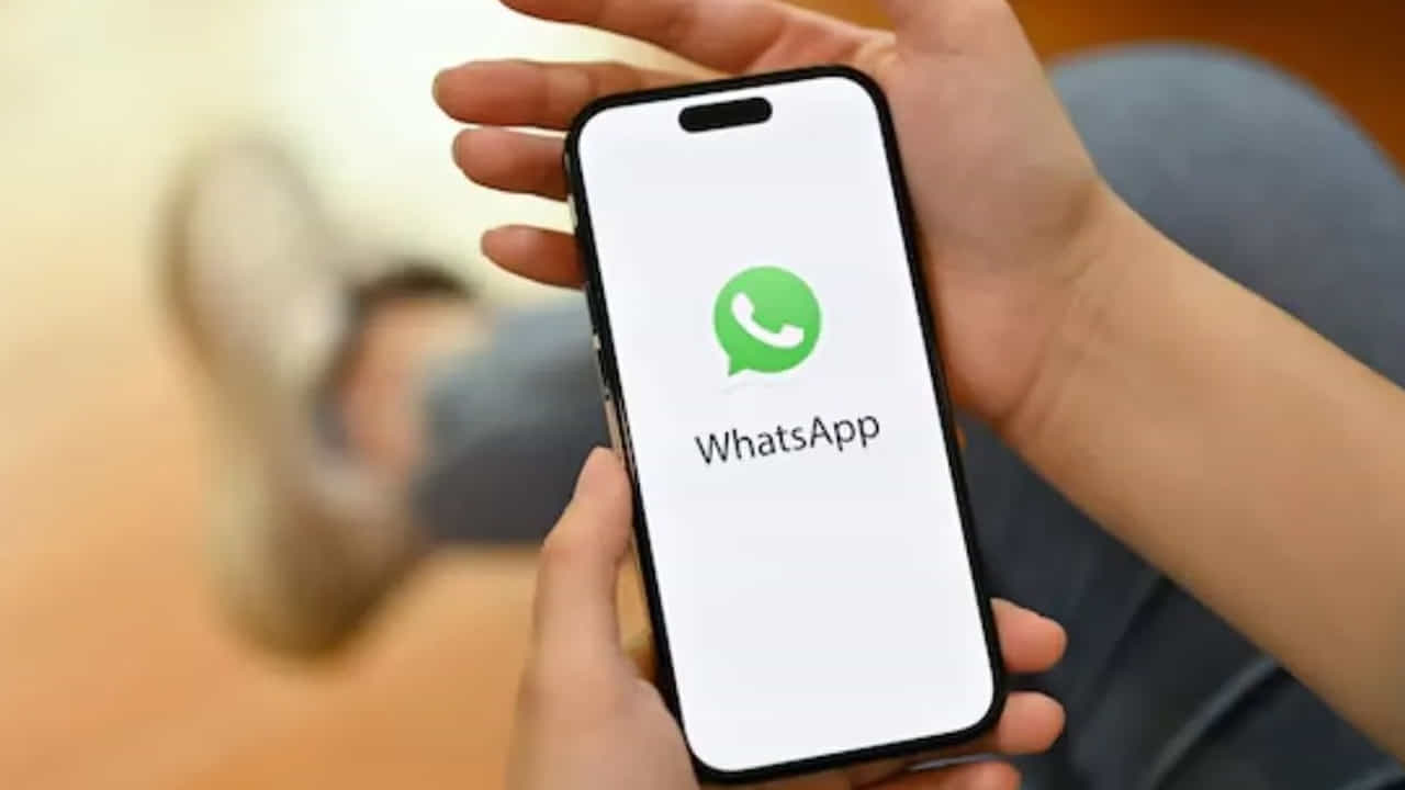 మెస్సేజ్, వాయిస్ కాల్స్, వీడియో కాల్స్ లాంటి ప్రస్తుతం ఉన్న ఉచిత ఫీచర్లన్నీ ఎప్పటిలాగే కొనసాగుతాయి. అయితే సబ్‌స్క్రిప్షన్ తీసుకున్నవారికి అదనంగా కొన్ని ప్రీమియం ఫీచర్లు అందుతాయి. యానిమేటెడ్ ఎఫెక్ట్‌లతో కొత్త స్టిక్కర్ల ప్యాక్‌లు, 20 వరకు పిన్ చేసిన చాట్‌లు, యాప్ కోసం 18 కొత్త థీమ్ కలర్స్, కస్టమ్ యాప్ ఐకాన్లు, కాల్స్ కోసం ప్రత్యేక రింగ్ టోన్లు వంటి ఫీచర్లు ఉంటాయి.
