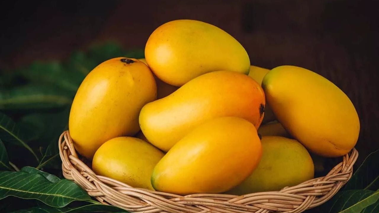 జీర్ణ సమస్యలు: అమితమైన రుచి ఉన్నప్పటికీ, మామిడి పండ్లను పరిమితంగానే తీసుకోవాలి. లేదంటే సమస్యలను కొని తెచ్చుకున్నట్టే. మామిడిలో ఫైబర్  అధికంగా ఉంటుంది. జీర్ణ సమస్యలు ఉన్న వ్యక్తులు వీటిని ఎక్కువగా తినడం వల్ల విరేచనాలు లేదా కడుపు నొప్పులు వచ్చే అవకాశం ఉంది.