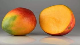 సమ్మర్‌లో మామిడి పండ్లు లాగిస్తున్నారా?.. జాగ్రత్త వీరికి విషమే