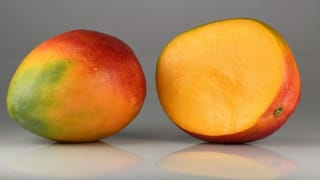 Ice Cream Recipe: పిల్లలకు ఇష్టమైన చాక్లెట్ ఐస్ క్రీమ్.. బయట కొనే పని లేకుండా ఇలా చిటికెలో రెడీ!