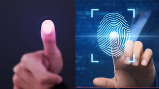 బంగారం కంటే ఖరీదైన విషం.. పాములతో కోట్లు సంపాదిస్తున్న ఆ ఊరు గురించి తెలుసా..?