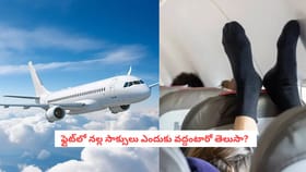 ఫ్లైట్‌లో నల్ల సాక్సులు ఎందుకు వద్దంటారో తెలుసా?
