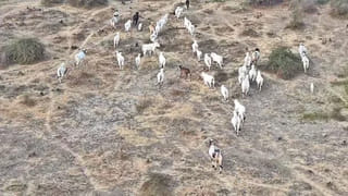 లేపాక్షి ఆలయంలో ఆ ఒక్క స్తంభం మాత్రమే గాలిలో తేలడం వెనక మిస్టరీ ఇదే..!