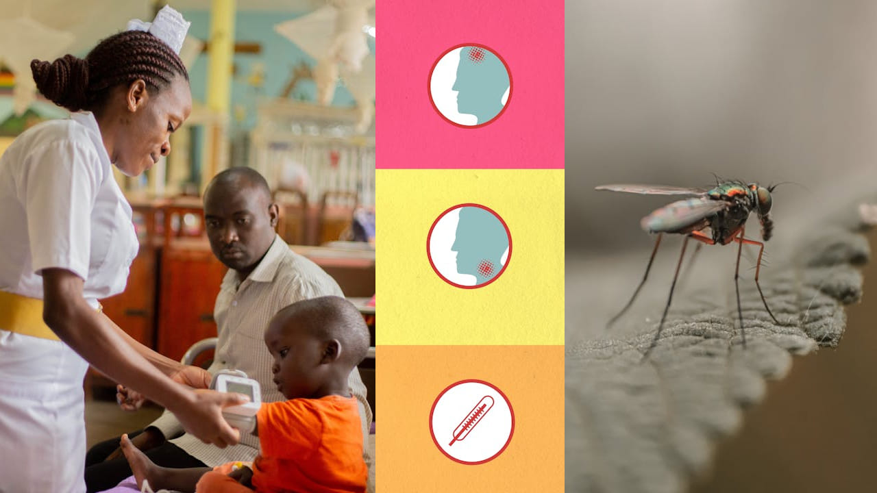 World Malaria Day 2026: ప్రమాదకరమైన మలేరియా, డెంగ్యూ లక్షణాలు ఒకేలా ఉంటాయి.. కానీ, ఒకటి కావు.. లేట్ చేసే కొద్ది..