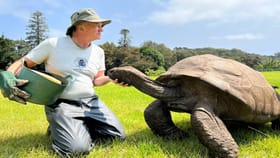 ప్రపంచంలోనే అత్యంత వృద్ధ తాబేలు ఇదే.. దీని వయసు ఎంతో తెలిస్తే