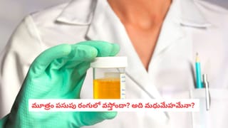 నిమ్మకాయలే కాదండోయ్.. తమలపాకులతో ఇలా శర్బత్ చేసి తాగితే.. బాడీ మొత్తం కూల్‌ కూల్