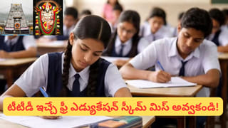 Andhra Pradesh: ఏపీలో మరో కొత్త ఎయిర్‌పోర్ట్.. ఈ జిల్లాలోనే నిర్మాణం.. ప్రభుత్వం నుంచి అప్డేట్..