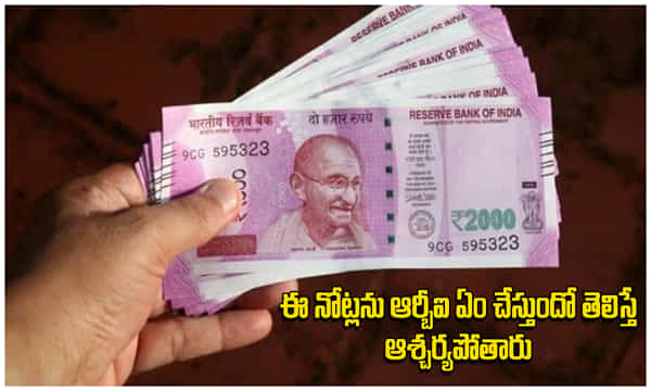 RBI: రద్దు చేసిన రూ.2,000 నోట్లు ఏమయ్యాయి? ఆర్బీఐ వాటిని ఏం చేస్తుందో తెలిస్తే ఆశ్చర్యపోతారు!