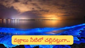 ఇవి అద్భుతమే..! రాత్రిపూట మెరిసే భారతదేశంలోని 5 మ్యాజికల్ బీచ్‌లు