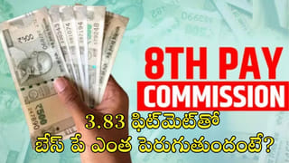 లాభాల పంట పండించిన పెన్నీ స్టాక్స్‌! కేవలం 7 పైసల పెట్టుబడితో..