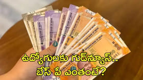 ఉద్యోగులకు గుడ్‌న్యూస్‌.. బేస్‌ పే ఎంతంటే?