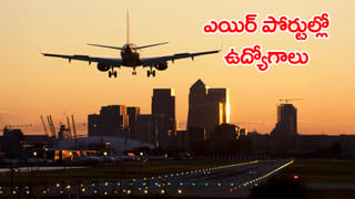 కుక్క కాట్లను విస్మరించలేం.. వాటిని వేరే ప్రాంతాలకు తరలించాల్సిందే: సుప్రీంకోర్టు కీలక తీర్పు