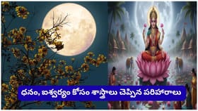పురుషోత్తమ మాస పౌర్ణమి ప్రత్యేకం.. లక్ష్మీదేవి అనుగ్రహం కోసం..