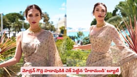 మోడ్రన్ గౌన్ల హడావుడికి చెక్ పెట్టిన ‘హీరామండి’ బ్యూటీ