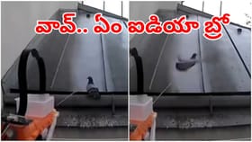 అబ్బా ఏం ఐడియా బ్రో.. పావురాలను తరిమికొట్టే సూపర్ మిషన్