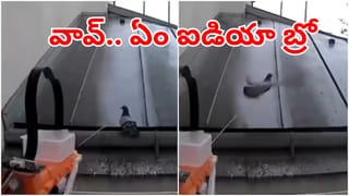 Optical Illusion: కనిపెట్టండి చూద్దాం.. ఈ చిత్రంలో ఉన్న పాండాను గుర్తిస్తే మీరే తోపులు!