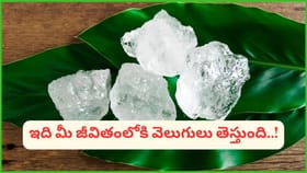 ఈ ఒక వస్తువు మీ ఇంట్లో ఉంటే చాలు.. లక్ష్మీ కటాక్షం ఎప్పుడూ మీపైనే