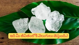 ఈ ఒక వస్తువు మీ ఇంట్లో ఉంటే చాలు.. లక్ష్మీ కటాక్షం ఎప్పుడూ మీపైనే