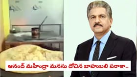 ఆనంద్ మహీంద్రా మనసు దోచిన బాహుబలి పరాఠా..