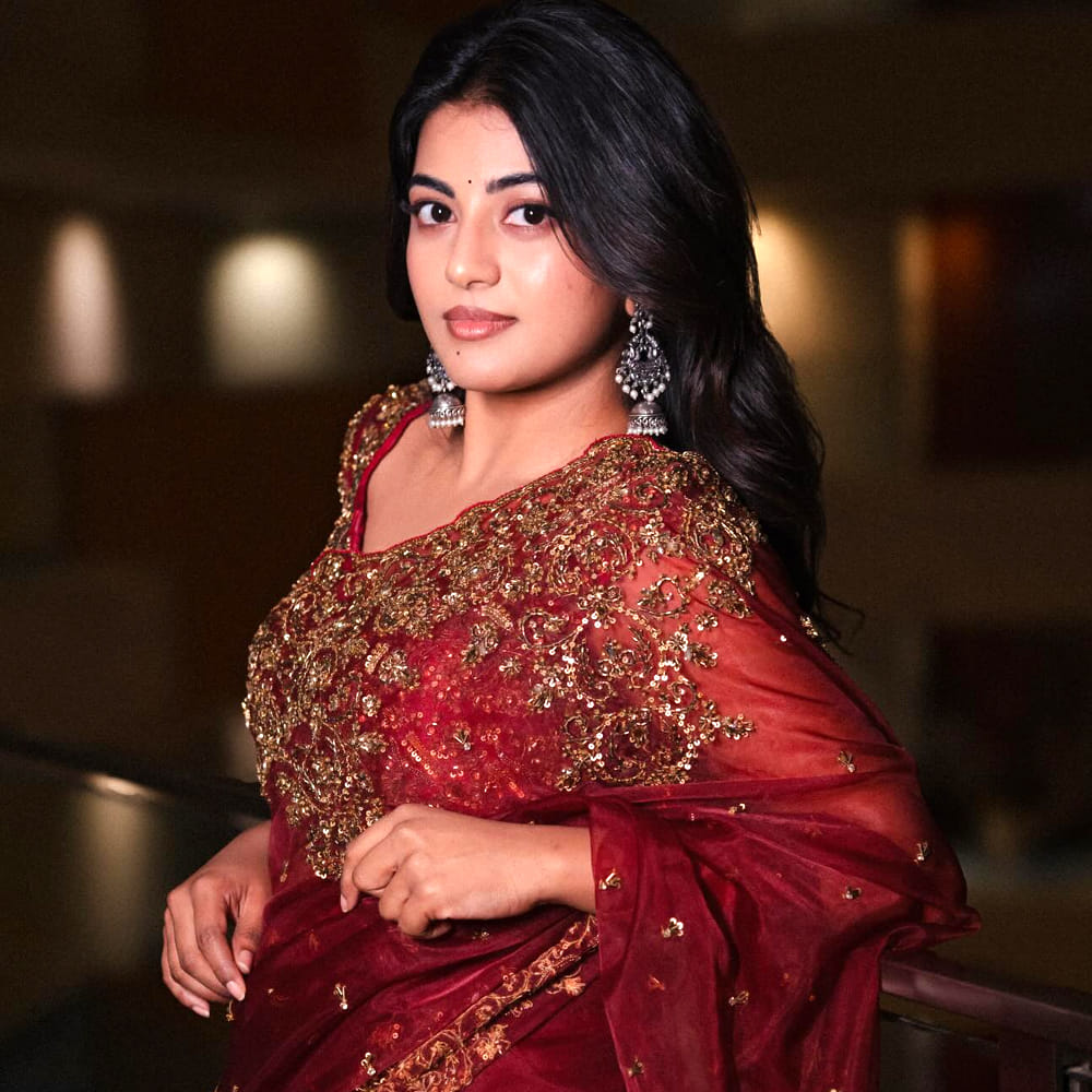 తన తల్లిదండ్రులు పెళ్లికి సరైన సమయం అని భావించారని, తనకు తన భర్త సరైన భాగస్వామి అనిపించారని ఆమె పేర్కొన్నారు. కోవిడ్ సమయంలో తనకు అన్నీ మంచే జరిగాయని, ఆ సమయం మైండ్‌సెట్‌లను మార్చిందని ఆమె వివరించారు. ఆనంది ఒక స్టార్ హీరోను వివాహం చేసుకుంటారని చాలామంది భావించగా, ఆమె ఒక మెరైన్ ఇంజనీర్‌ను వివాహం చేసుకుని అందరినీ ఆశ్చర్యపరిచారు.