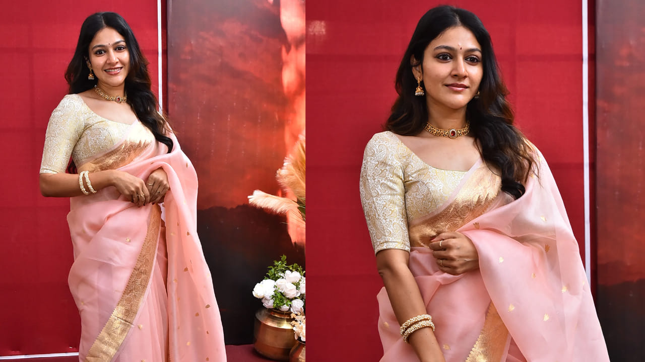 ఇటీవలే హైదరాబాద్ రామానాయుడు స్టూడియోలో పూజా కార్యక్రమాలతో ఈ క్రేజీ ప్రాజెక్ట్ అట్టహాసంగా ప్రారంభమైంది. కాగా ఈ మూవీలో గోపీచంద్ సరసన మలయాళం హీరోయిన్ అనార్కలి నాజర్  కథానాయికగా నటిస్తోంది.
