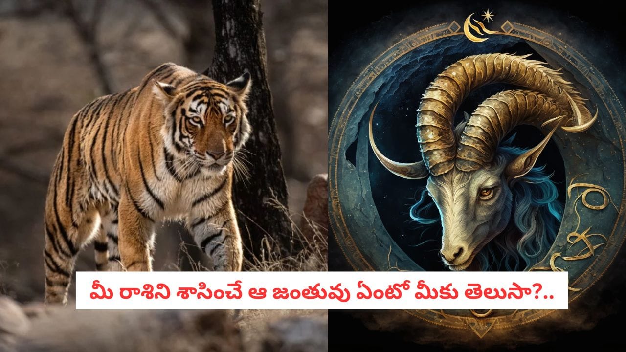 Astro Secrets: మీ రాశిని శాసించే ఆ జంతువు ఏంటో మీకు తెలుసా?.. జ్యోతిష్య శాస్త్రంలో దాగి ఉన్న ఆసక్తికరమైన రహస్యాలివే!