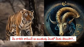 మీ రాశిని శాసించే ఆ జంతువు ఏంటో మీకు తెలుసా?..