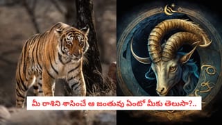 మే 30 రాశిఫలాలు: గ్రహాల అనుగ్రహంతో.. ఈ రాశుల వారికి అదృష్ట యోగం!