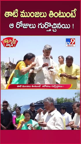 రోడ్డు పక్క తాటి ముంజలు తిన్న సీఎం చంద్రబాబు.. ఇదిగో వీడియో