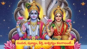 Apara Ekadashi: అపర ఏకాదశి రోజు ఈ ఒక్క పని చేస్తే చాలు.. ధనవర్షం!