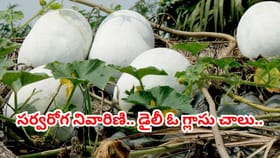 తుప్పల్లో ఉంటుందని చిన్న చూపు చూసేరు.. డైలీ ఓ గ్లాసు తాగితే..