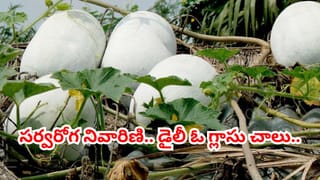పచ్చి మామిడి కాయతో ఆరోగ్యానికి పిచ్చి లాభాలు.. ఇవి తెలిస్తే అస్సలు వదిలిపెట్టరు..