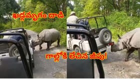 ఖడ్గమృగాన్ని దగ్గరగా చూడాలనుకుంటే చావును చూసినట్టే! ఊహించని