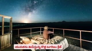 పెంపుడు జంతువుతో కలిసి టూర్‌ వెళ్తున్నారా? ఈ జాగ్రత్తలతో జర్నీ సూపర్ హిట్