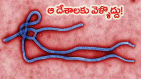 విదేశీ ప్రయాణాలపై భారత ప్రభుత్వం ఆంక్షలు!