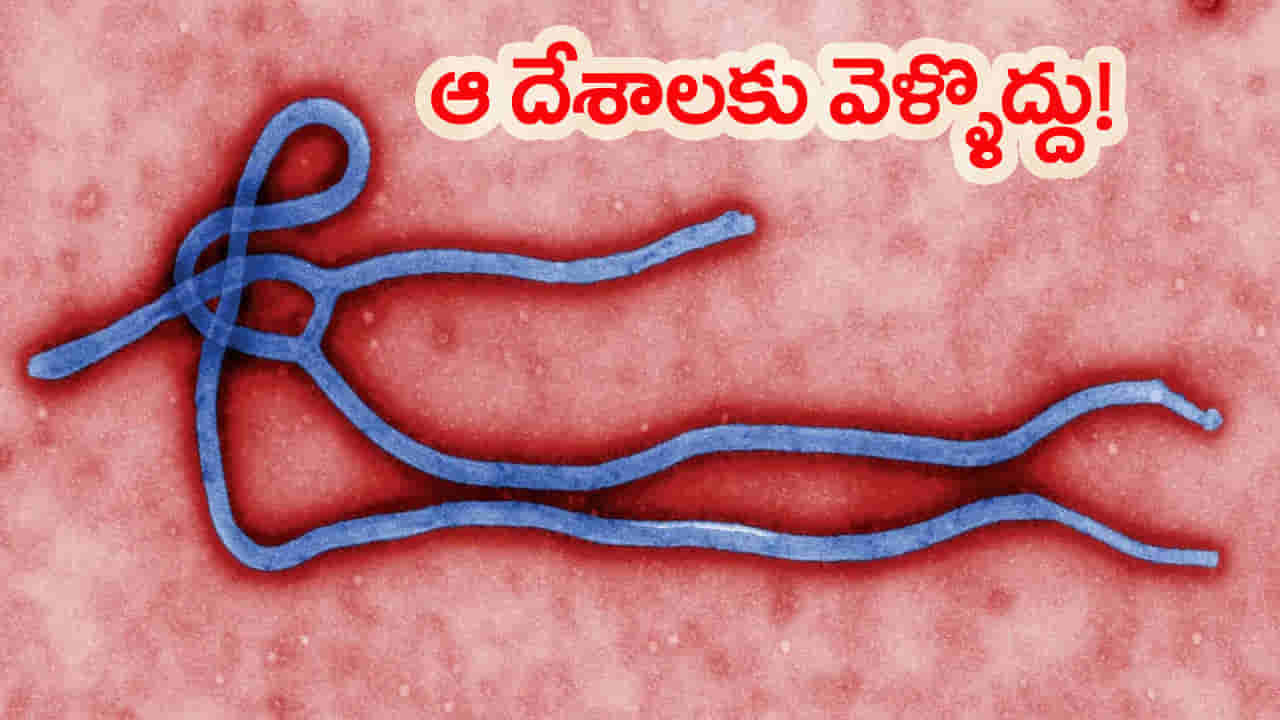 ఆ దేశాలకు వెళ్లొద్దు.. విదేశీ ప్రయాణాలపై కేంద్రం ఆంక్షలు.. అత్యవసర హెచ్చరిక జారీ!