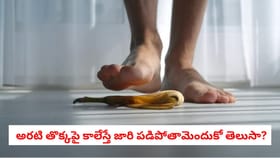 అరటి తొక్కపై కాలేస్తే జారి పడిపోతామెందుకో తెలుసా?