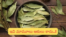 బిర్యానీ ఆకుతో డబ్బు, ఆరోగ్యం, అదృష్టం.. ఈ అద్భుతాలు నిజంగా..