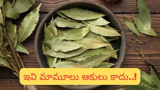 వివాహం నుంచి వ్యాపారం వరకు.. శుభ ముహూర్తం వెనుక దాగిన జ్యోతిష్య రహస్యాలు