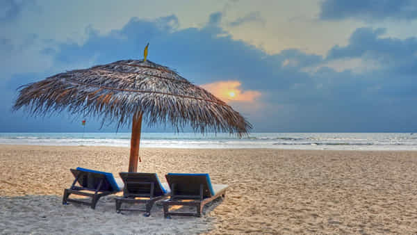 Goa Beach: వామ్మో .. గోవా బీచ్లో షాకింగ్ సీన్.. బిత్తరపోయిన లేడీ టూరిస్ట్!