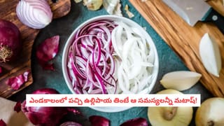 Kitchen Hacks: కిచెన్ సింక్ నుంచి బ్యాడ్ స్మెల్ వస్తోందా? రాత్రి పడుకునే ముందు ఈ ఒక్క ట్రిక్ ట్రై చేయండి!