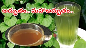 ఇమ్యూనిటీని 10 రెట్లు పెంచే కషాయం.. ఉదయాన్నే 10 రోజులు తాగితే..