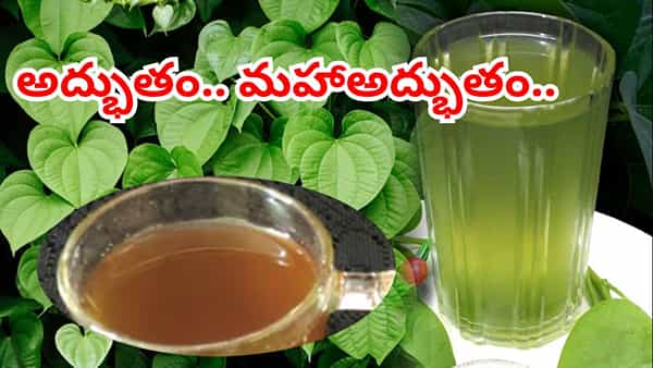 ఇమ్యూనిటీని 10 రెట్లు పెంచే స్పెషల్ డ్రింక్.. ఉదయాన్నే తాగితే శరరీంలో జరిగే అద్భుతాలు ఇవే..