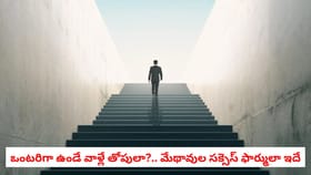 ఒంటరిగా ఉండే వాళ్లే తోపులా?.. మేథావుల సక్సెస్ ఫార్ములా ఇదే