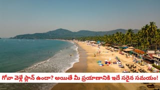 నక్క – నెమలి నీతి కథ: ‘No’ చెప్పడం నేర్చుకోండి.. ప్రతి ఒక్కరినీ సంతోషపెట్టలేరు..