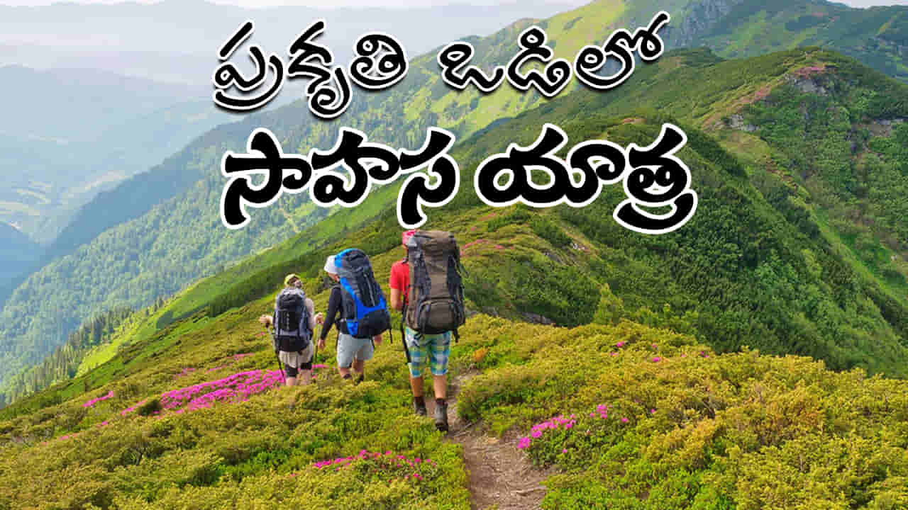 Best Trekking Places: మీరు ధైర్యవంతులా..? భారతదేశంలోని ఈ 7 బెస్ట్ ట్రెక్కింగ్ ప్రదేశాలు అస్సలు మిస్ అవ్వకండి!