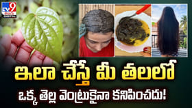 మీ జుట్టుకు నేచురల్ మెడిసిన్ ఇదే..